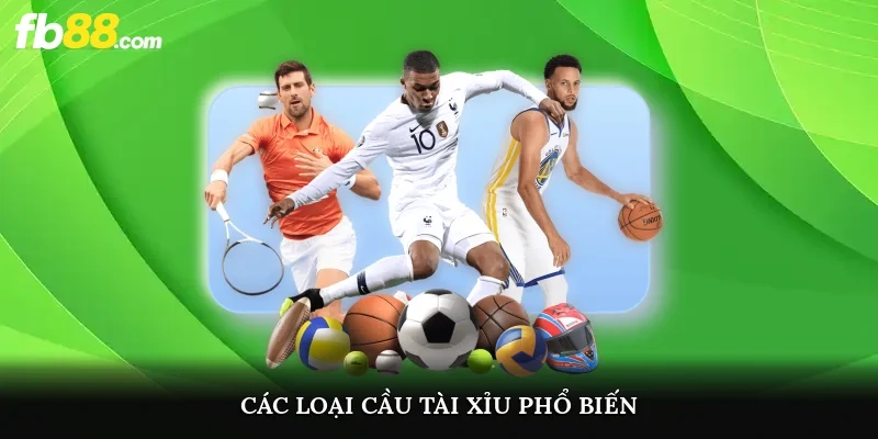 Các loại cầu tài xỉu phổ biến mà người chơi cần biết