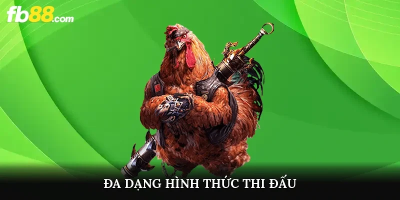 Đa dạng hình thức thi đấu