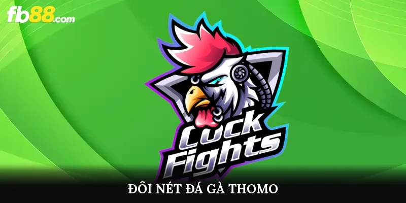 Đôi nét đá gà Thomo