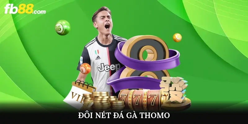 Đôi nét đá gà Thomo
