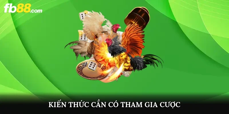 Kiến thức cần có tham gia cược