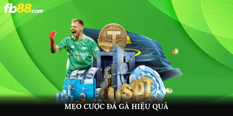 Mẹo cược đá gà hiệu quả