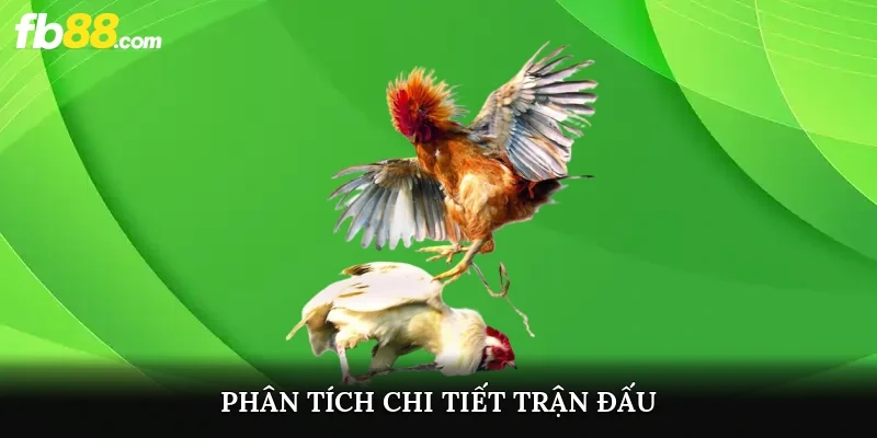 Phân tích chi tiết trận đấu
