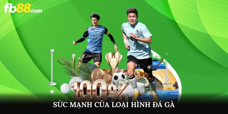Sức mạnh của loại hình đá gà